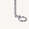 6T * 1.5m Handle Hoist Lifting Height Fall Chain Hoist Lifting Chain With Hook