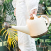 Long Spout Watering Pot 4L Watering Pot Watering Pot Watering Pot Large Capacity Thickened Watering Pot Flower Raising Tools Potted Watering Pot Green