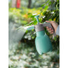 10 Pcs Watering Flower Spray Kettle Spray Bottle Horticultural Household Watering Kettle 1L Thickening Mint Green [With Lock Switch]