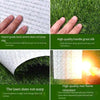 Artificial Simulation Turf Mat False Grass Plastic False Green Plant Wall Kindergarten Indoor TPR Gum 1.0cm Super Dense White Rubber Green Grass